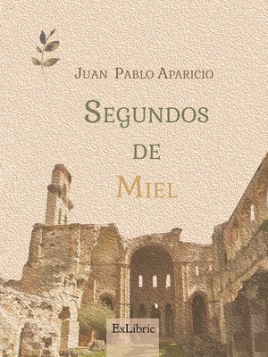 cover image of Segundos de miel